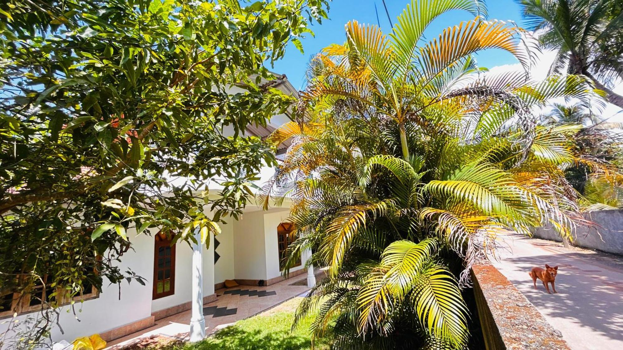 Kida'S Guest House Matara Exterior photo